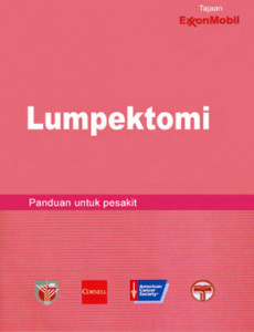 Lumpektomi