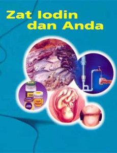 Zat Iodin dan anda