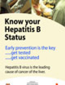  Hepatitis B (BI)