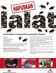 Lalat : Hapuskan Lalat