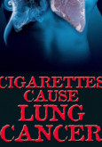 Rokok Mengakibatkan Kanser Paru-paru (Bahasa Inggeris) 
