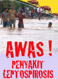 Leptospirosis: Awas penyakit Leptospirosis