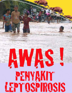 Leptospirosis: Awas penyakit Leptospirosis