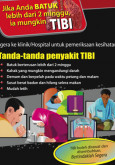 TIBI:Poster Tibi