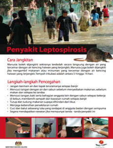 Leptospirosis 02