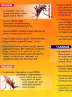 Denggi:Fakta Penting Penyakit Bawaan Nyamuk