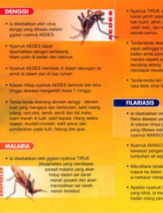 Denggi:Fakta Penting Penyakit Bawaan Nyamuk