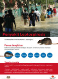 Leptospirosis 01