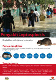 Leptospirosis 01