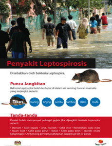 Leptospirosis 01