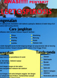 Leptospirosis