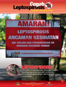 Leptospirosis