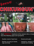 Chikungunya (B. Inggeris)