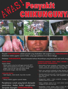 Chikungunya (B. Malaysia)