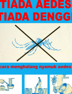 Denggi :Tiada Aedes Tiada Denggi