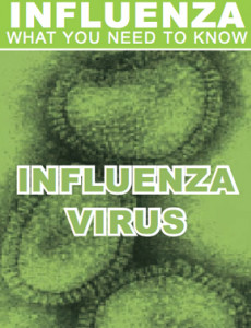 Influenza : Virus Influenza (BI)