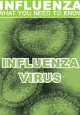 Influenza : Virus Influenza (BI)