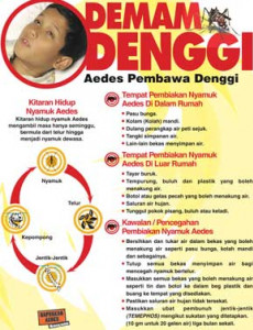 Denggi:Fakta Denggi (Bahasa Malaysia)