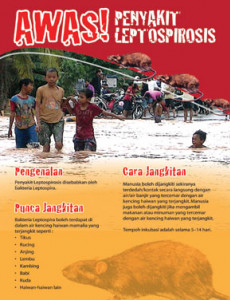 Leptospirosis:AWAS! Penyakit Leptospirosis