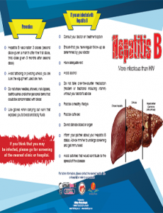 Hepatitis B (Bahasa Inggeris)