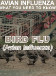 Avian Influenza : Apa yang anda perlu Tahu (BI)