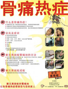 Denggi:Fakta Denggi (Bahasa Cina)