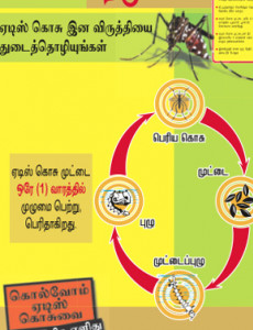 Denggi : Cegah Denggi (B.Tamil)
