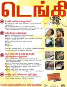 Denggi:Fakta Denggi (Bahasa Tamil)
