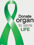 Dermalah Organ Demi Sebuah Kehidupan (B.Inggeris)