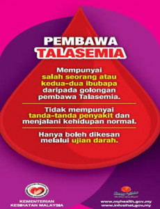 Talasemia:Pembawa Talasemia 