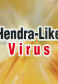 SARS : Hendra-Like Virus