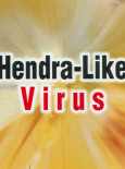 SARS : Hendra-Like Virus