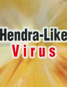 SARS : Hendra-Like Virus