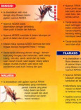 Denggi :Fakta Penting Penyakit Bawaan Nyamuk