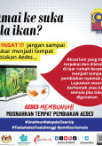 One Hour Malaysia Clean Up: Akuarium Tempat Pembiakan Aedes