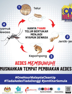 One Hour Malaysia Clean Up: Aedes Membunuh