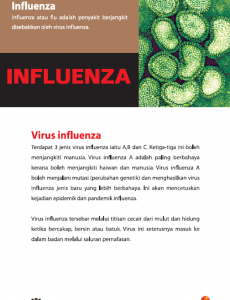 Influenza:Pameran Pandemik Influenza 22