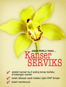 Serviks :Kanser Serviks 