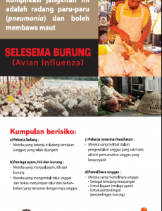 Influenza:Pameran Pandemik Influenza 27