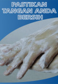Pandemik Influenza : Pastikan tangan anda bersih (BM)