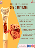 Prosedur Pengambilan Sum-sum Tulang