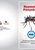 Chikungunya : Nyamuk Aedes Penyebar Virus (Depan)