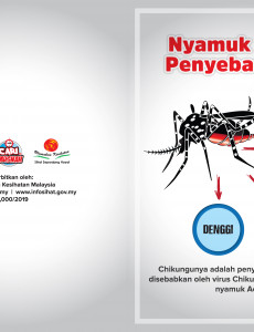 Chikungunya : Nyamuk Aedes Penyebar Virus (Depan)