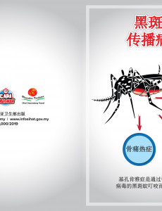 Chikungunya : Nyamuk Aedes Penyebar Virus (Depan) - BC