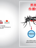 Chikungunya : Nyamuk Aedes Penyebar Virus (Depan) - BC