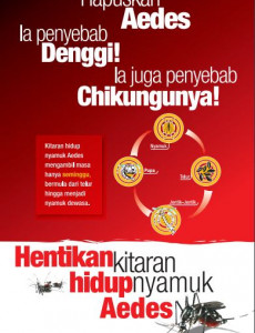 Denggi:Pameran Denggi & Chikungunya 2