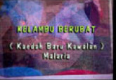 Kelambu Berubat