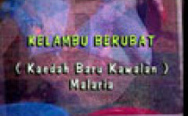 Kelambu Berubat