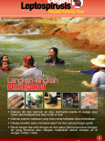 Leptospirosis 8