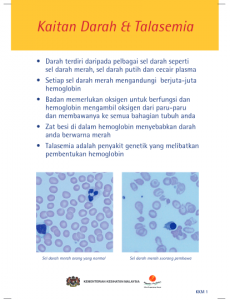 Talasemia:Pameran Talasemia 04 BM 01